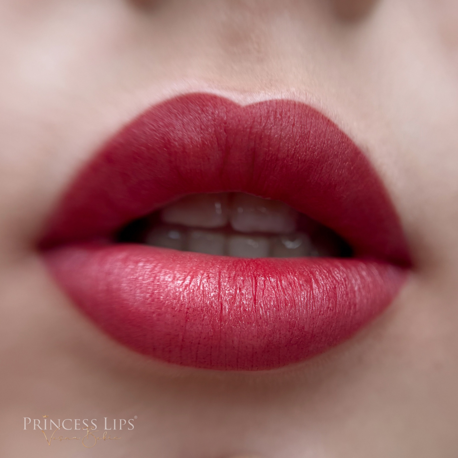 Permanent Make-up Lippen — Arbeit 5 von Vesna Bekic